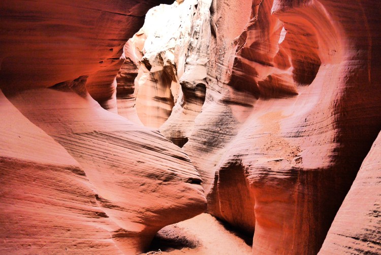 31564743722_4290e84006_o