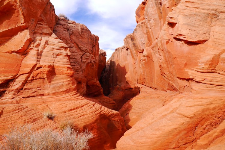 31595736791_82283b345c_o (1)