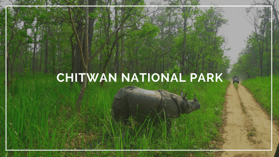 explore thedeepestwaters (13)