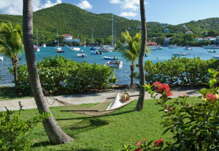 Screen Shot 2017-12-15 at 6.12.42 PM