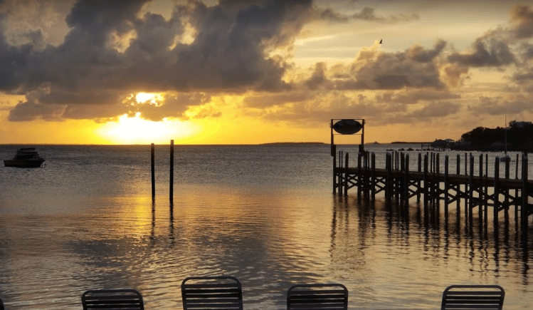 Screen Shot 2019-03-09 at 8.53.26 AM